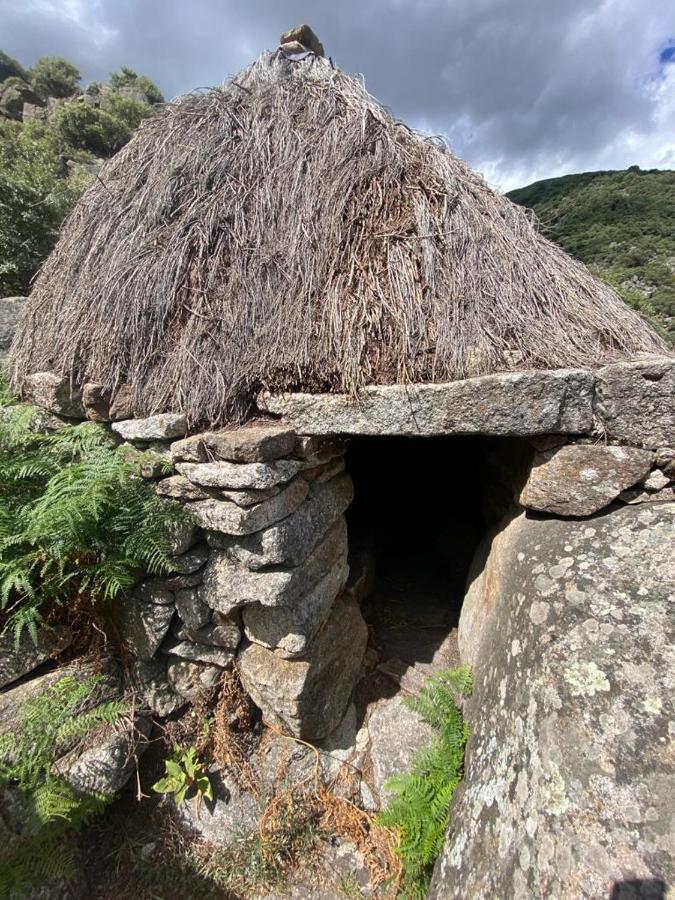 El Jazmin De La Fuente Casa Rural 吉霍－德圣巴巴拉 外观 照片